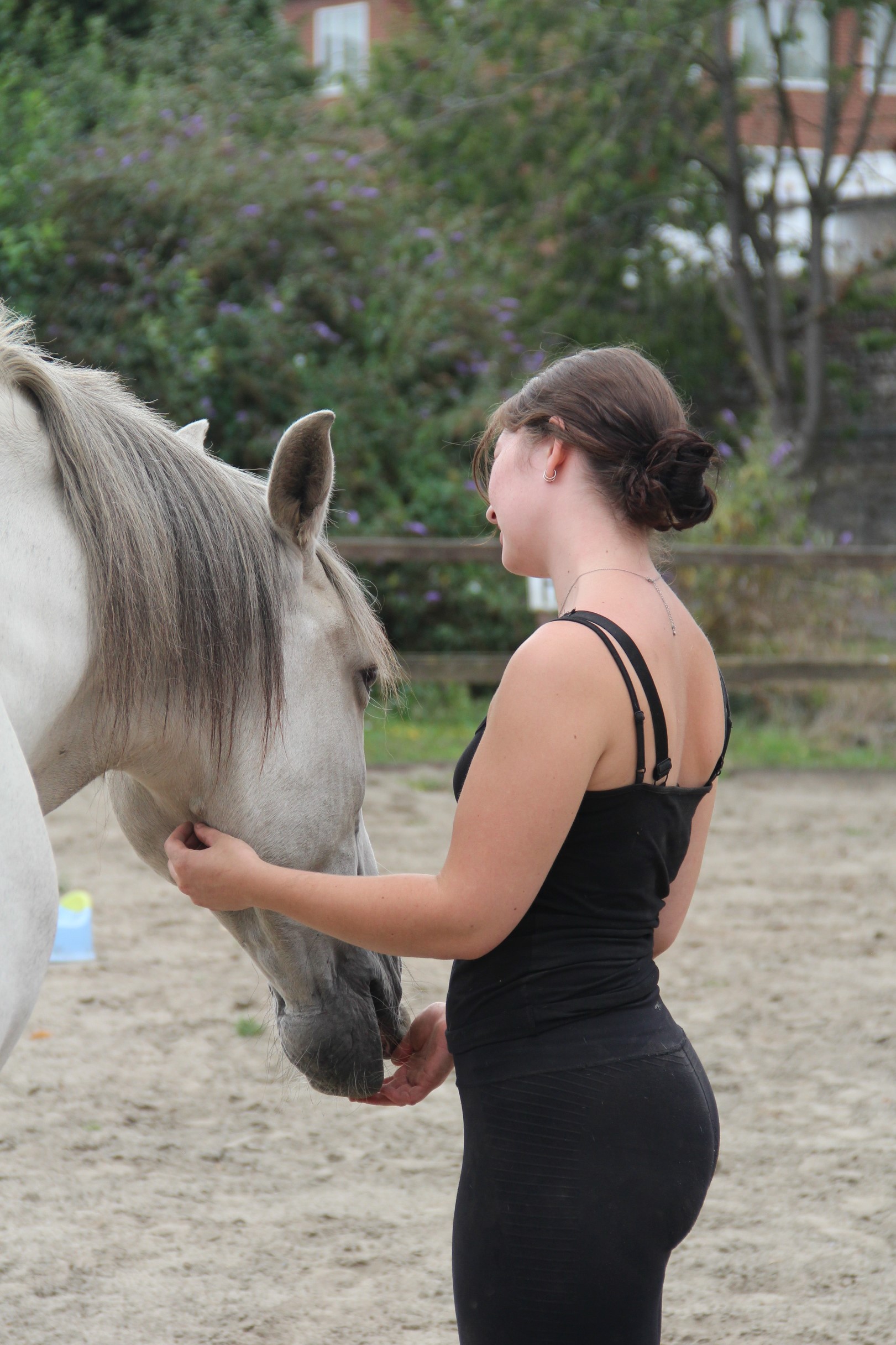 Métanoïa leçon d'équi-coaching