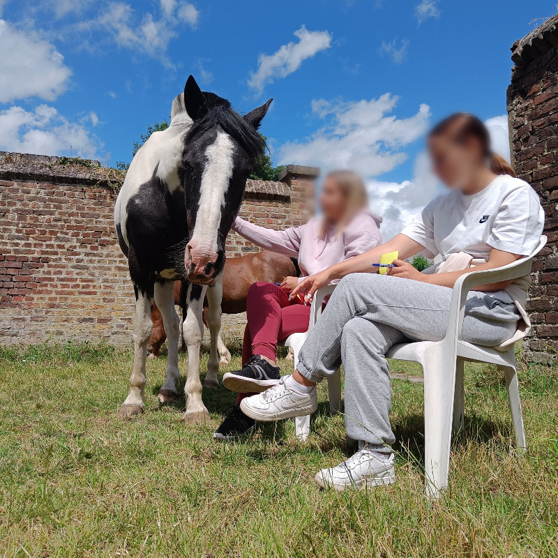 Métanoïa cours équi-coaching